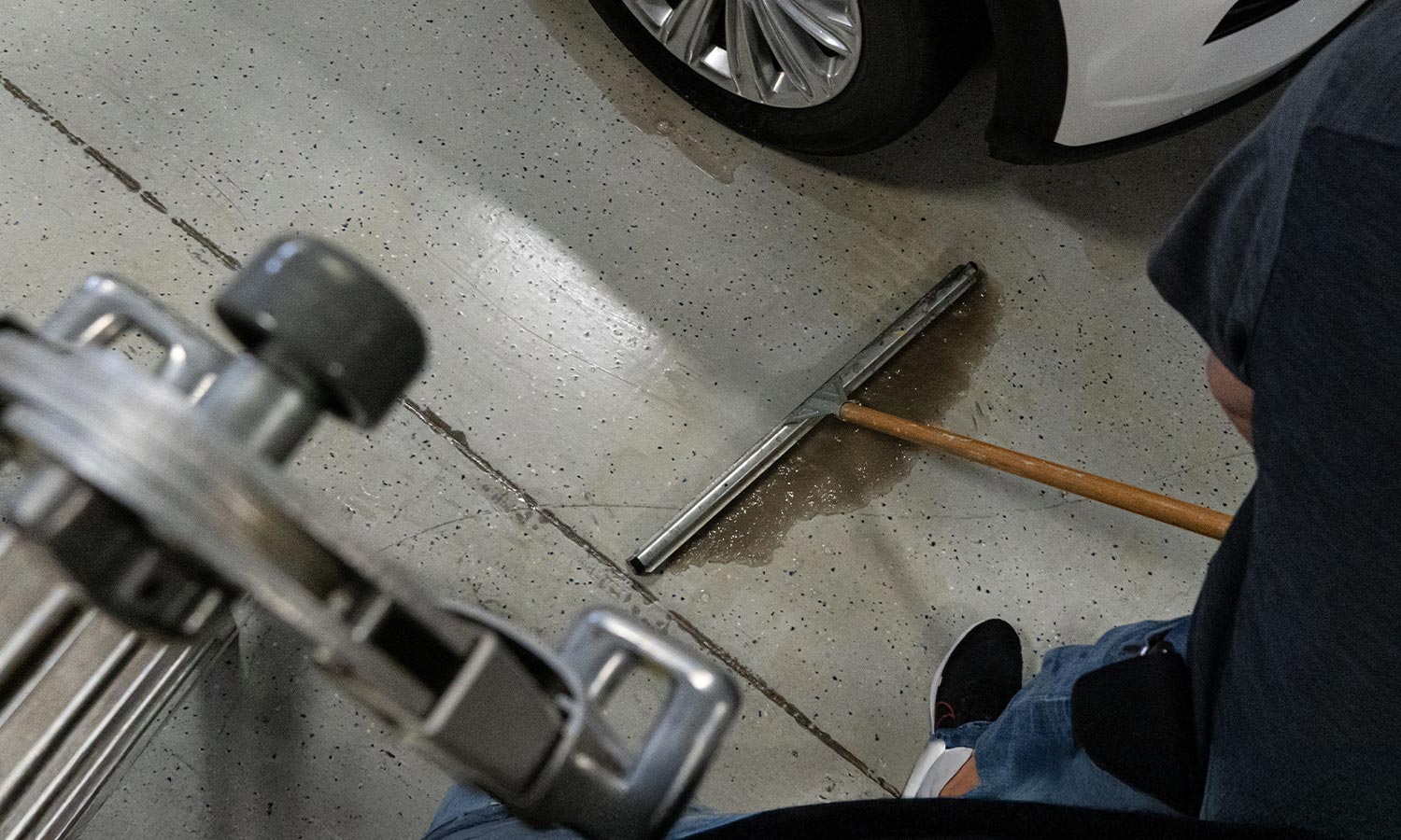 Where to buy Magnolia Brush