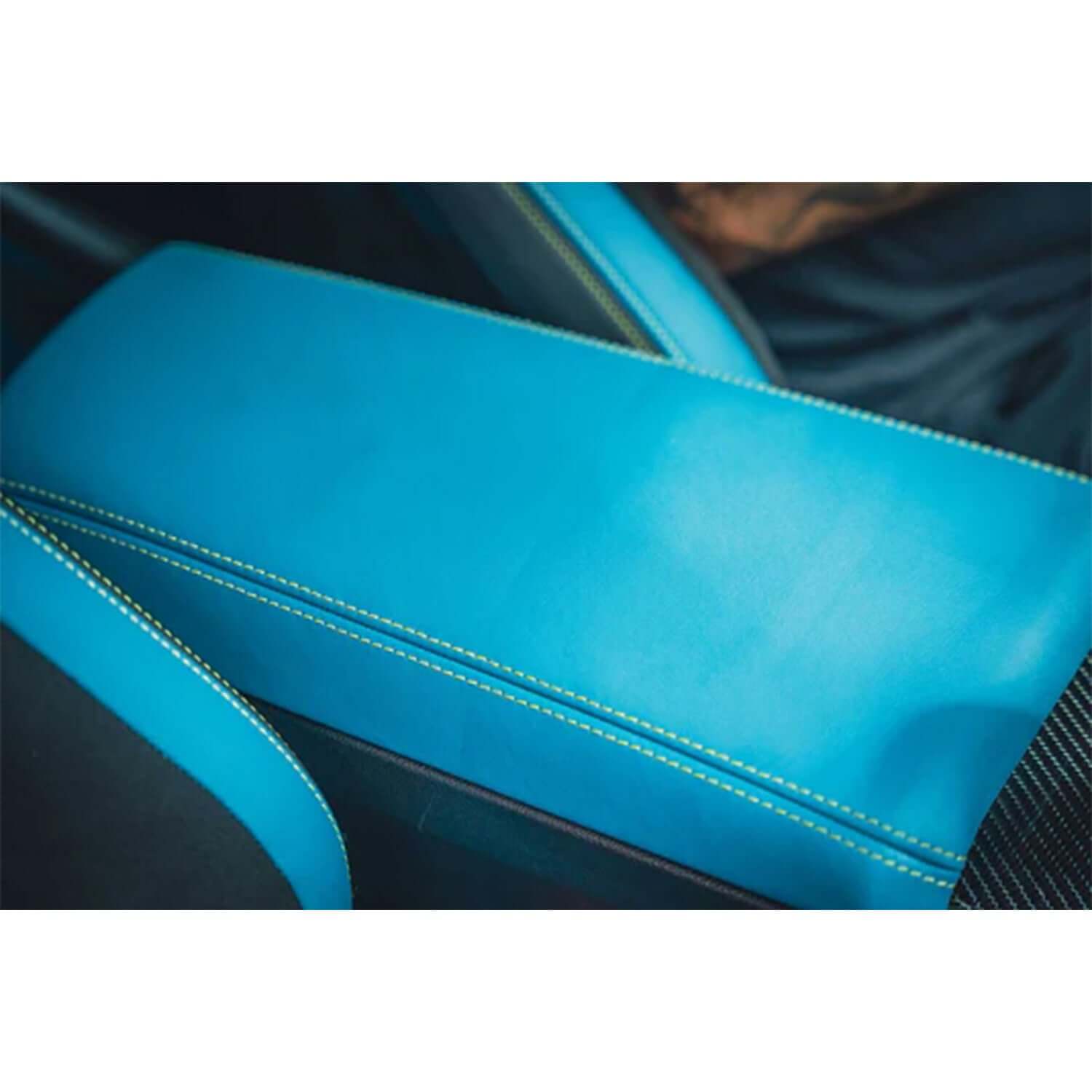 Conditioner for colored leather
