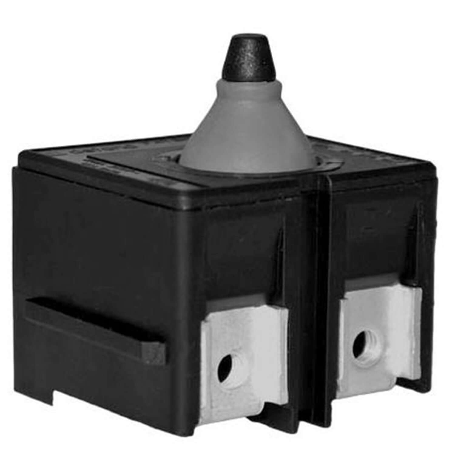 Rupes switch for es models