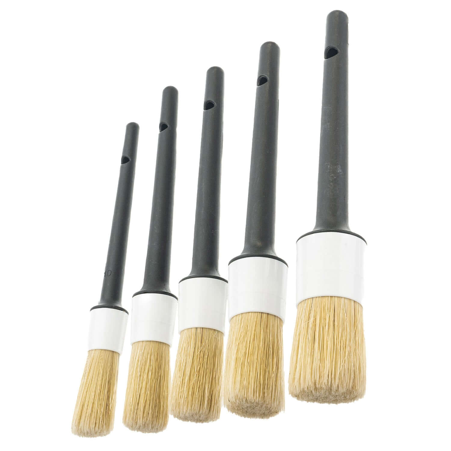 Premium Synthetic Brush 5-Pack