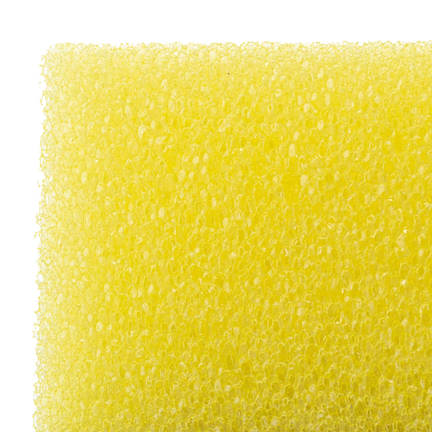 spongebob-bug-remover-sponge