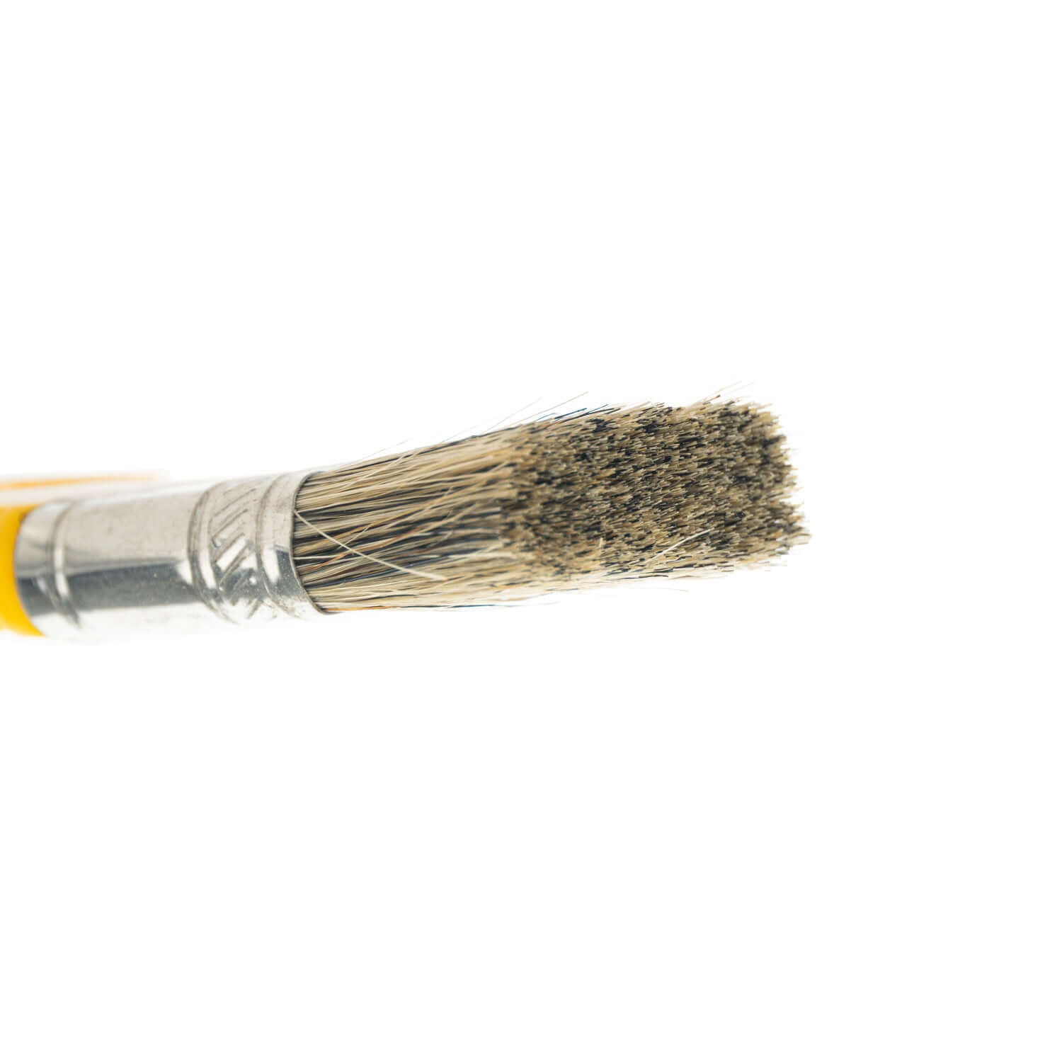 Horse Hair Detailing Paintbrush