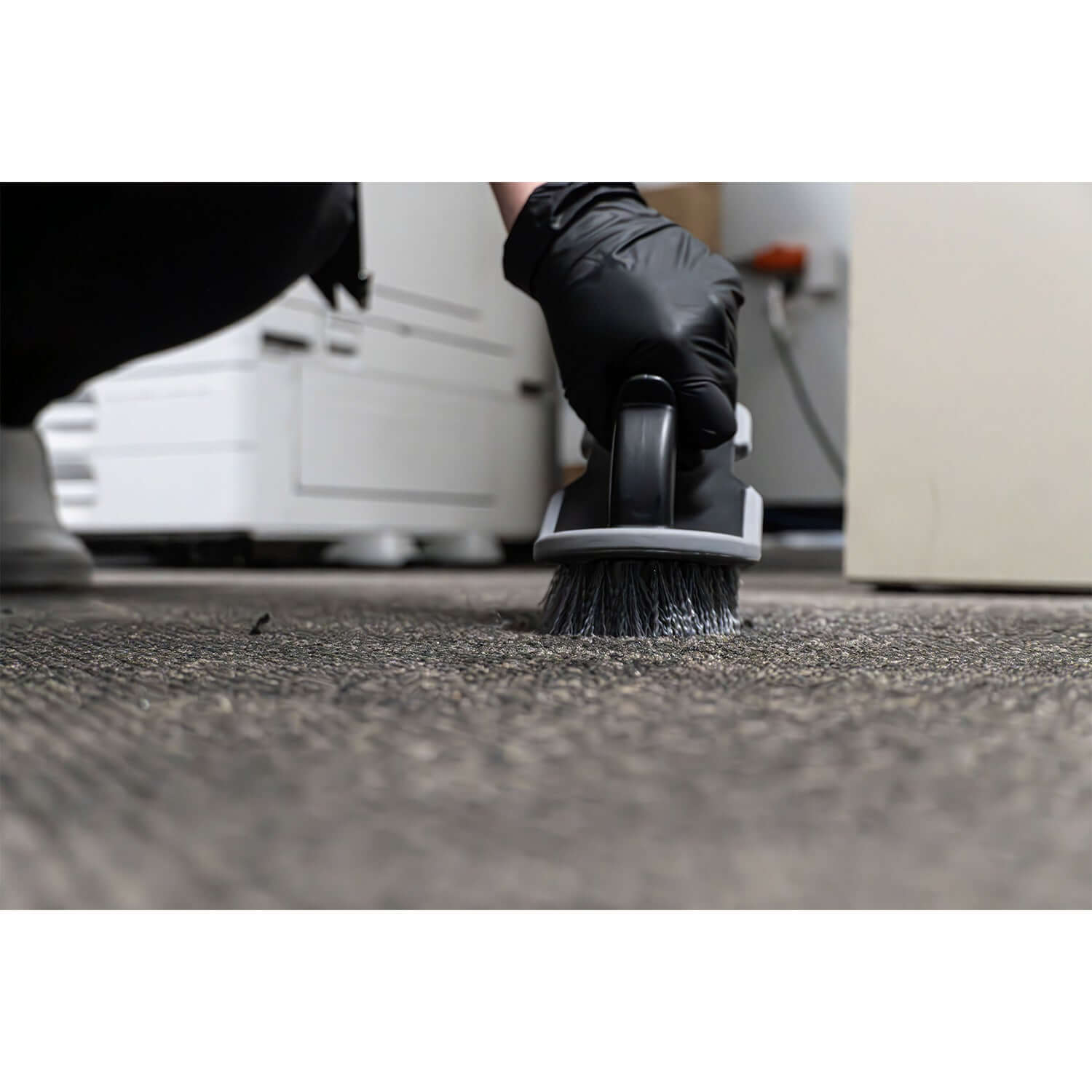 carpet scrubbing brush