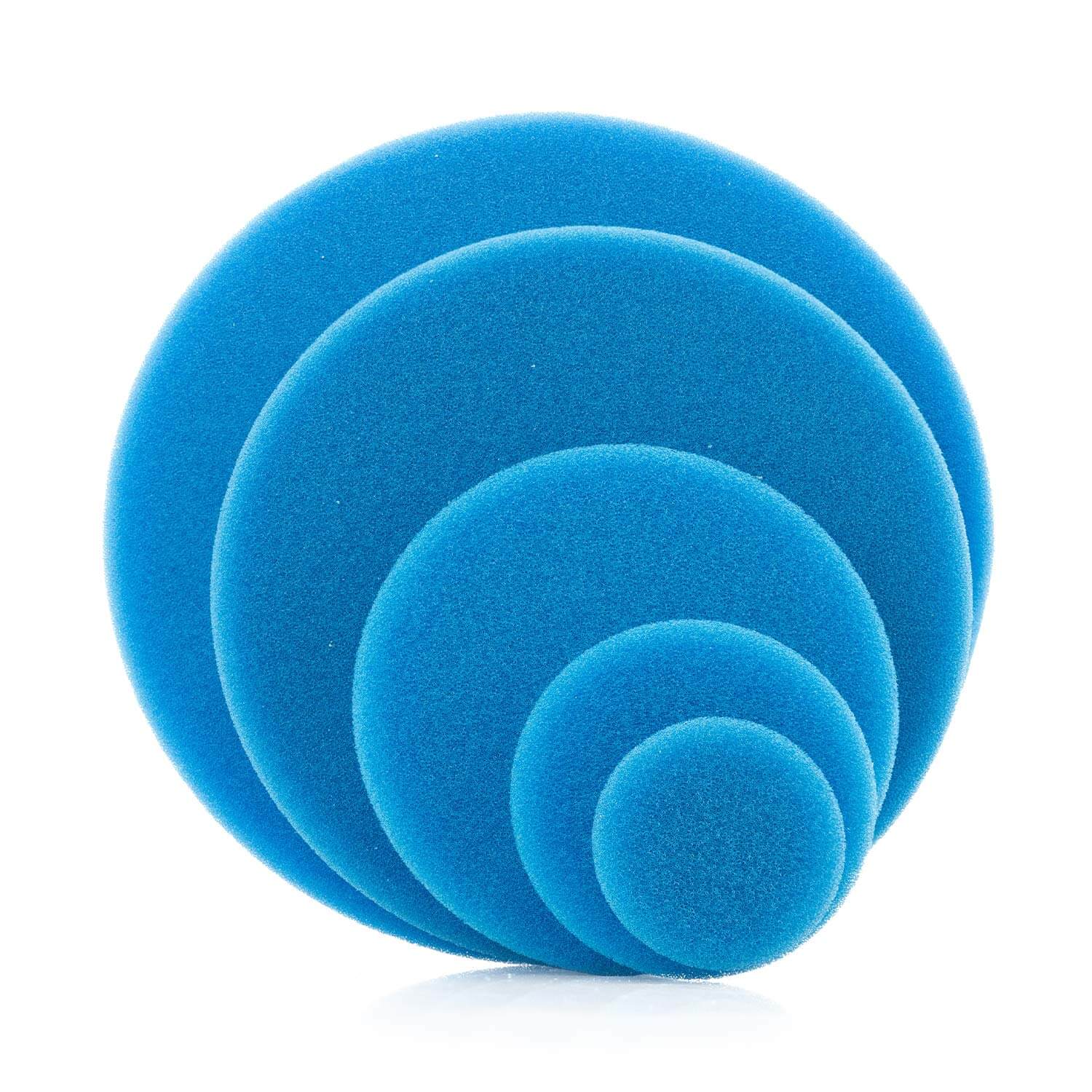 rupes blue foam pads
