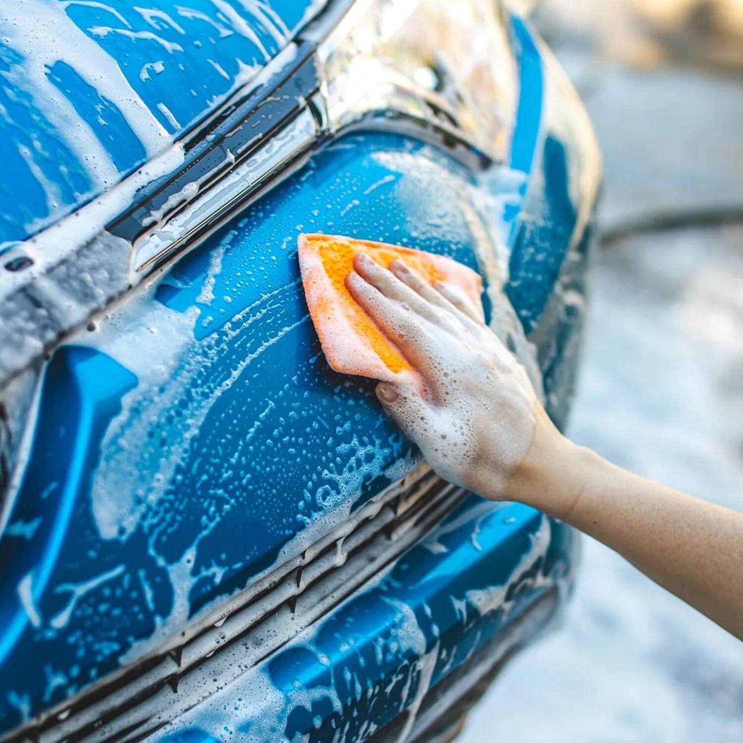 bug scrubber for front fender
