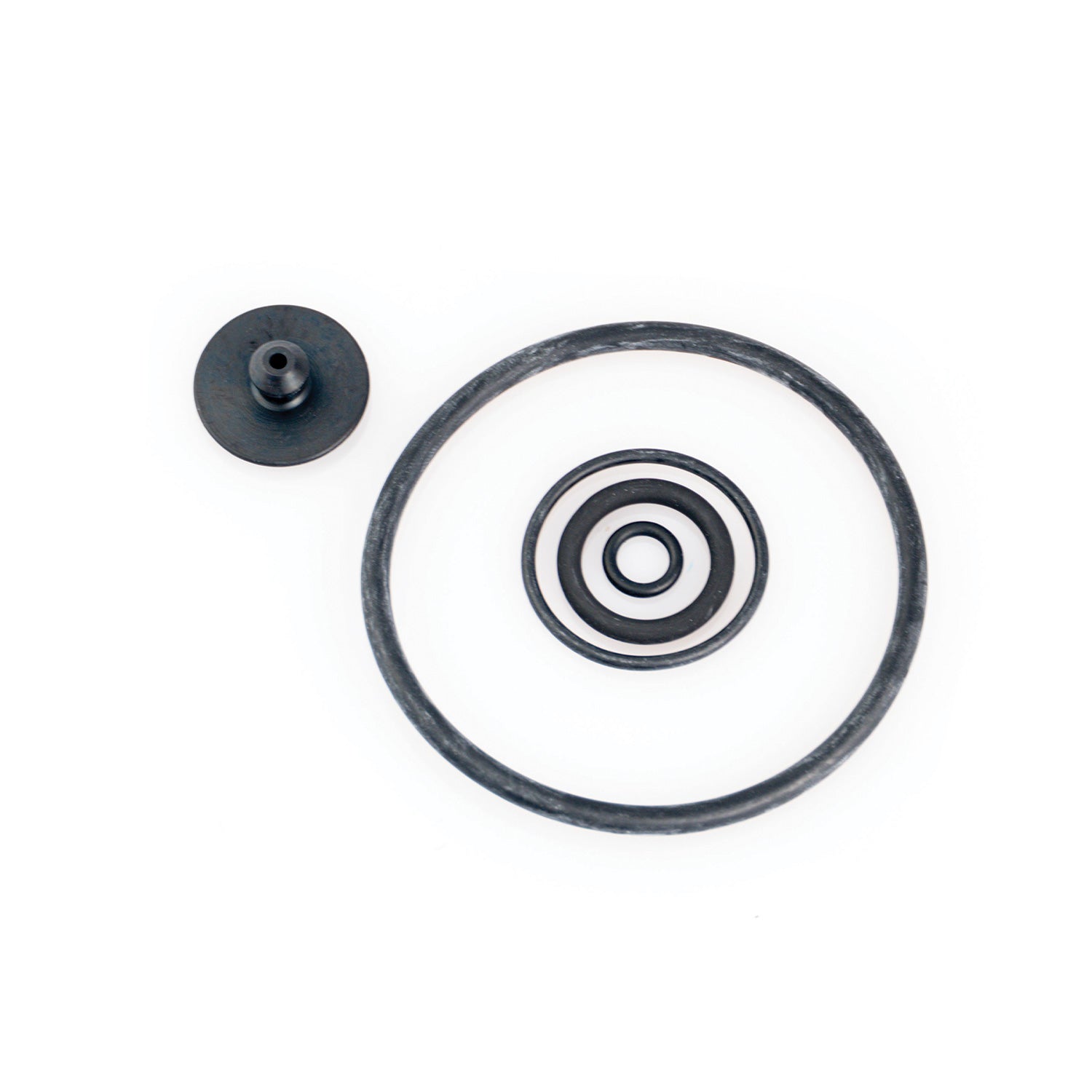 IK Alkaline 1.5 Maintenance Kit Black rubber gasket and washer on a white background