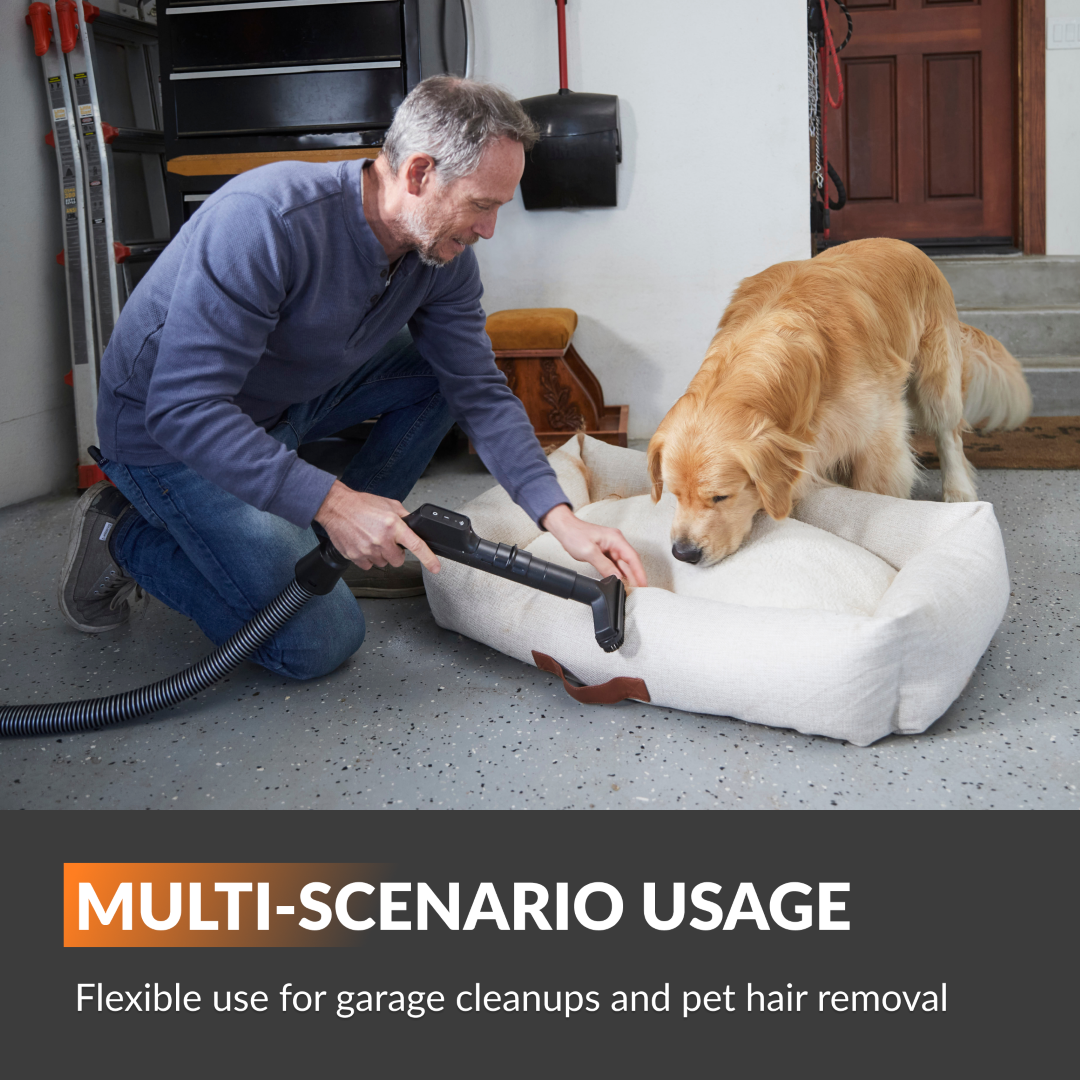 Man using a vacuum cleaner on a dog bed with a dog nearby, in a garage setting.